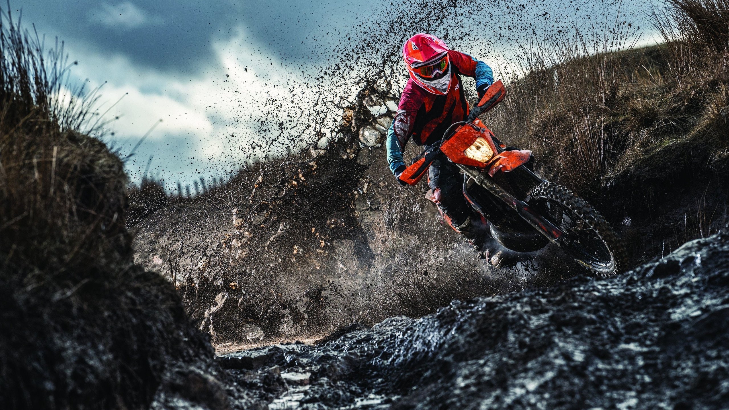 51岁贝嫂打脸现场!每年亏损1亿,强撑有钱人设,用尽了所有力气,贝嫂是干嘛的